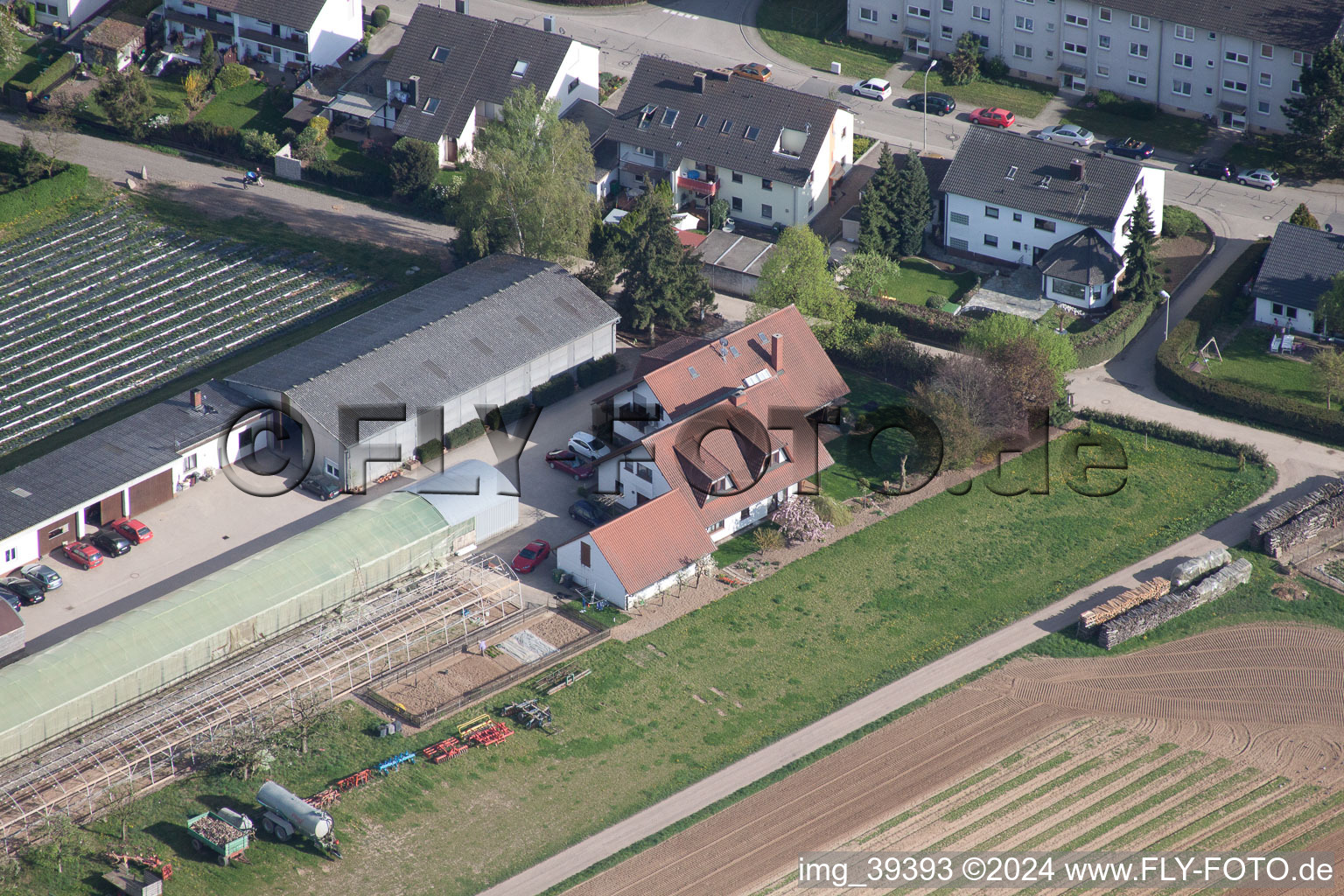 Vue oblique de Ferme biologique sur le Sonnenweg à Kandel dans le département Rhénanie-Palatinat, Allemagne