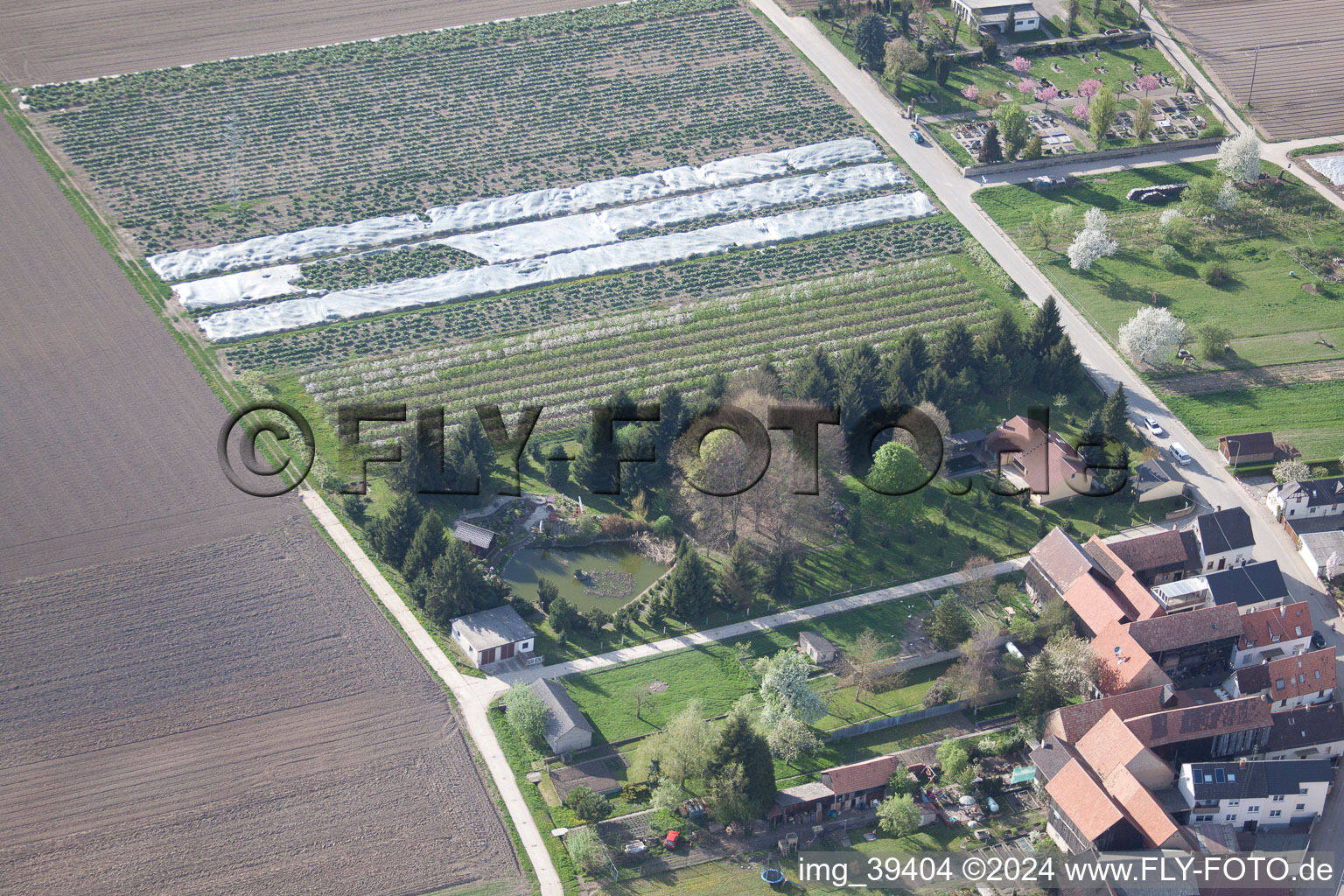 Vue oblique de Jardin d'ornement à Erlenbach bei Kandel dans le département Rhénanie-Palatinat, Allemagne