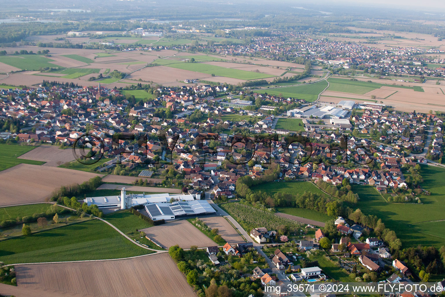 Vue oblique de Quartier Rheinbischofsheim in Rheinau dans le département Bade-Wurtemberg, Allemagne