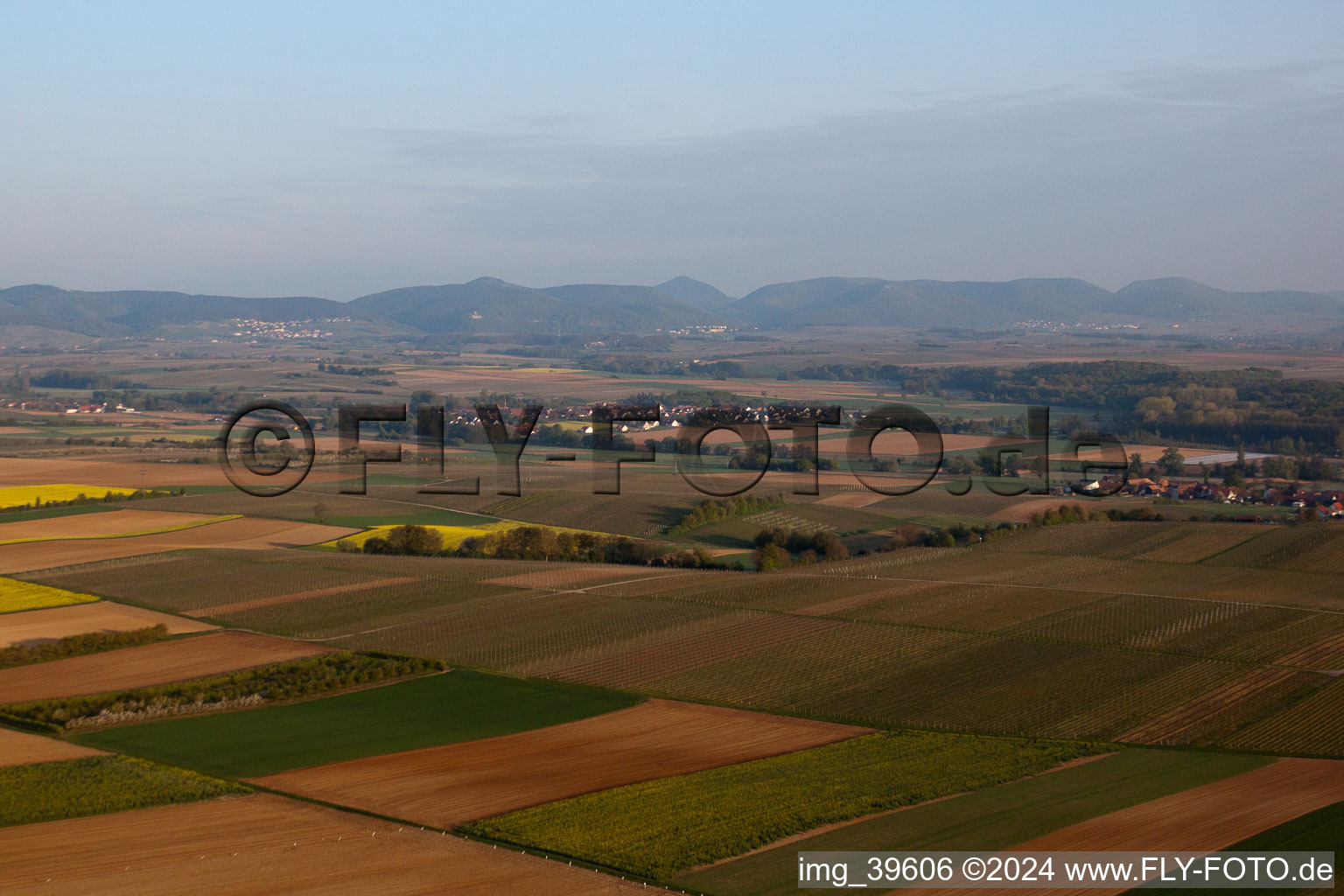 Hergersweiler dans le département Rhénanie-Palatinat, Allemagne vue du ciel