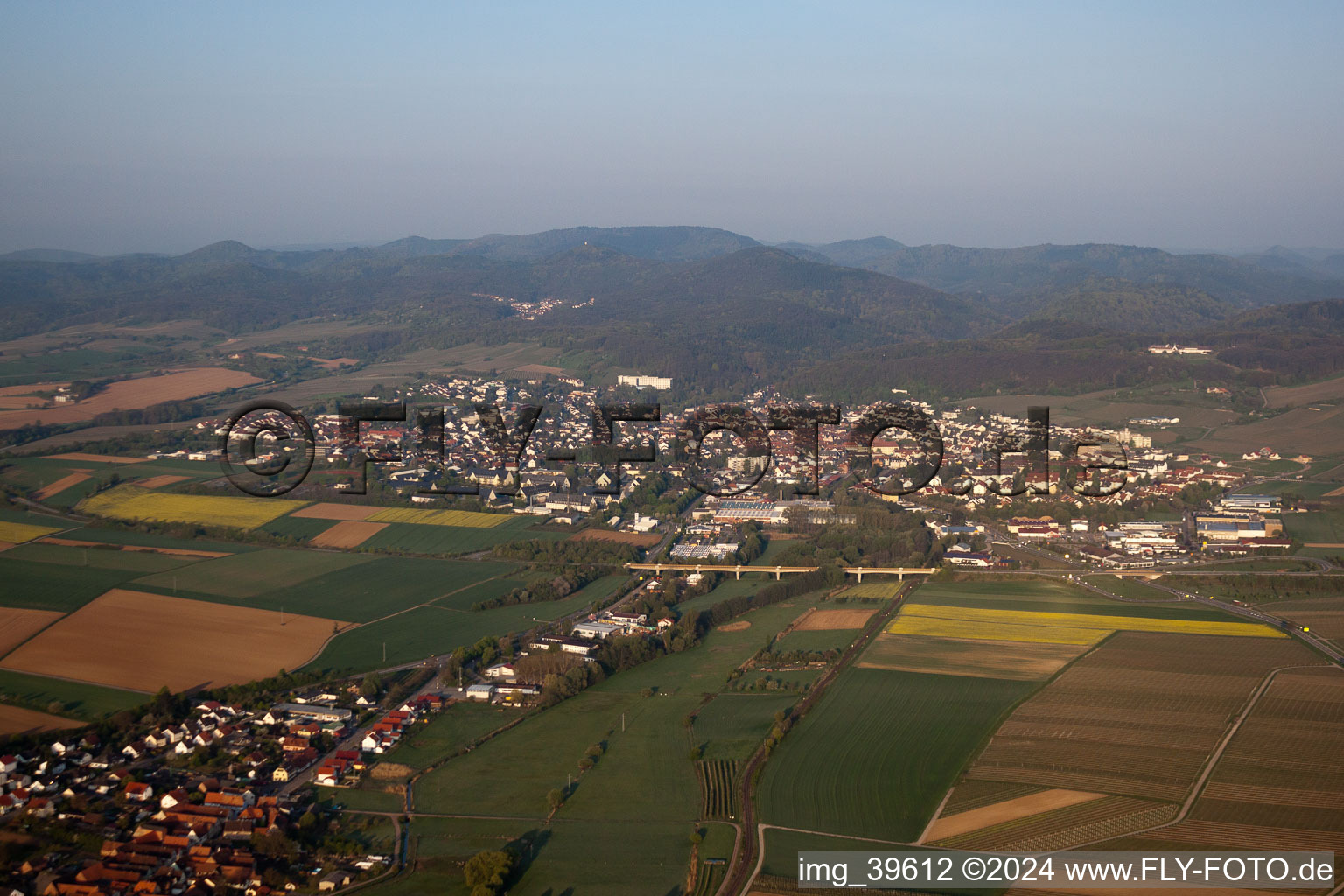 Bad Bergzabern dans le département Rhénanie-Palatinat, Allemagne hors des airs