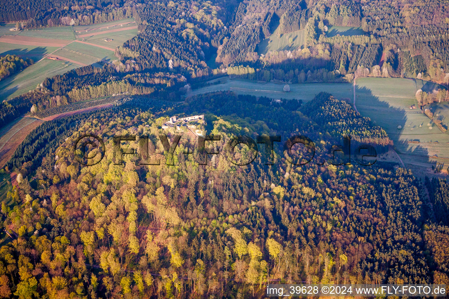 Vue aérienne de Ruines et vestiges des murs de l'ancien complexe du château et de la forteresse Ruines du château de Lindelbrunn sur une colline d'été indienne à Vorderweidenthal dans le département Rhénanie-Palatinat, Allemagne