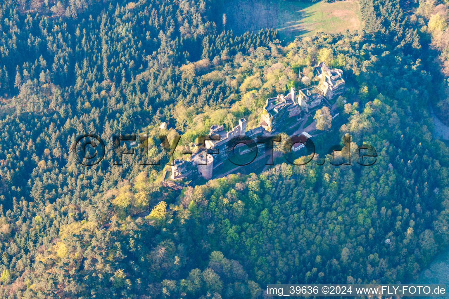 Vue aérienne de Château d'Altdahn à Dahn à Dahn dans le département Rhénanie-Palatinat, Allemagne