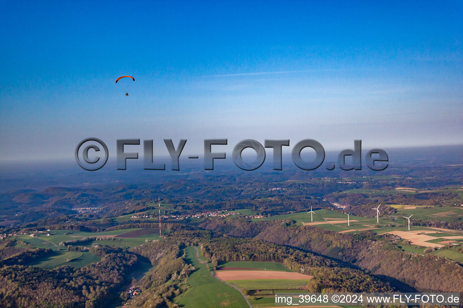 Vue aérienne de Au-dessus de la forêt du Palatinat à Vinningen dans le département Rhénanie-Palatinat, Allemagne