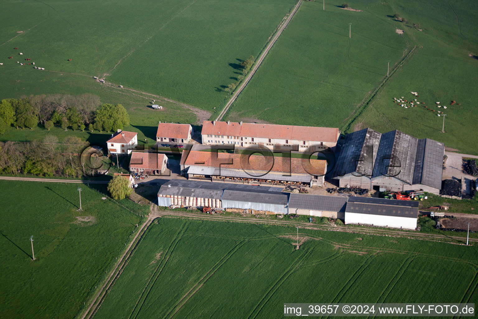 Vue aérienne de Rimling dans le département Moselle, France