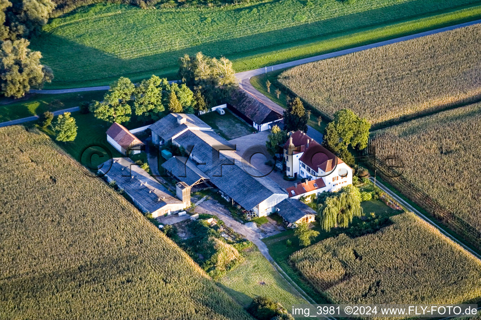 Vue aérienne de Ludwigsau sur le Rhin à le quartier Maximiliansau in Wörth am Rhein dans le département Rhénanie-Palatinat, Allemagne