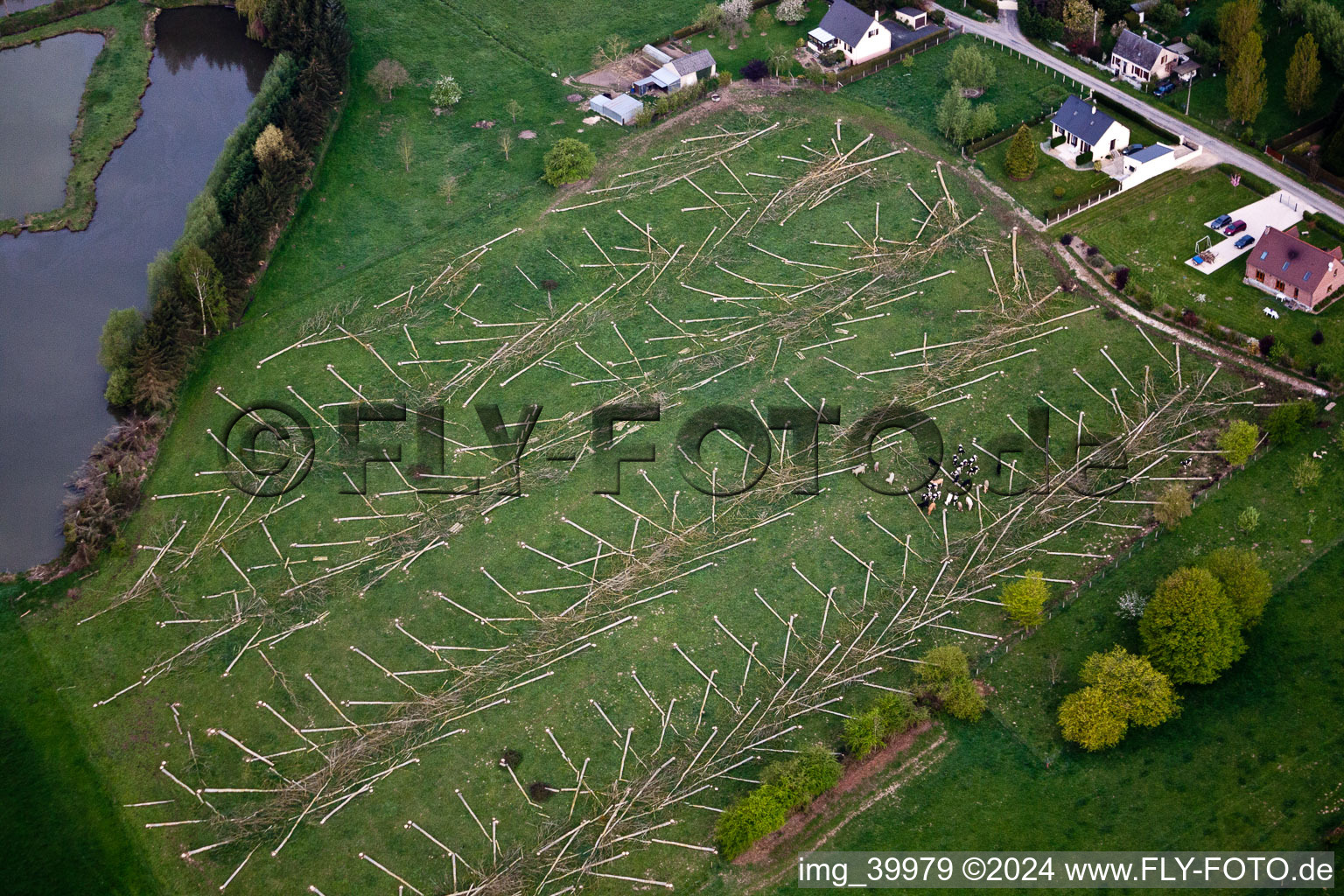 Vue aérienne de Troncs d'arbres abattus sur une propriété forestière à Malzy à Romery dans le département Aisne, France