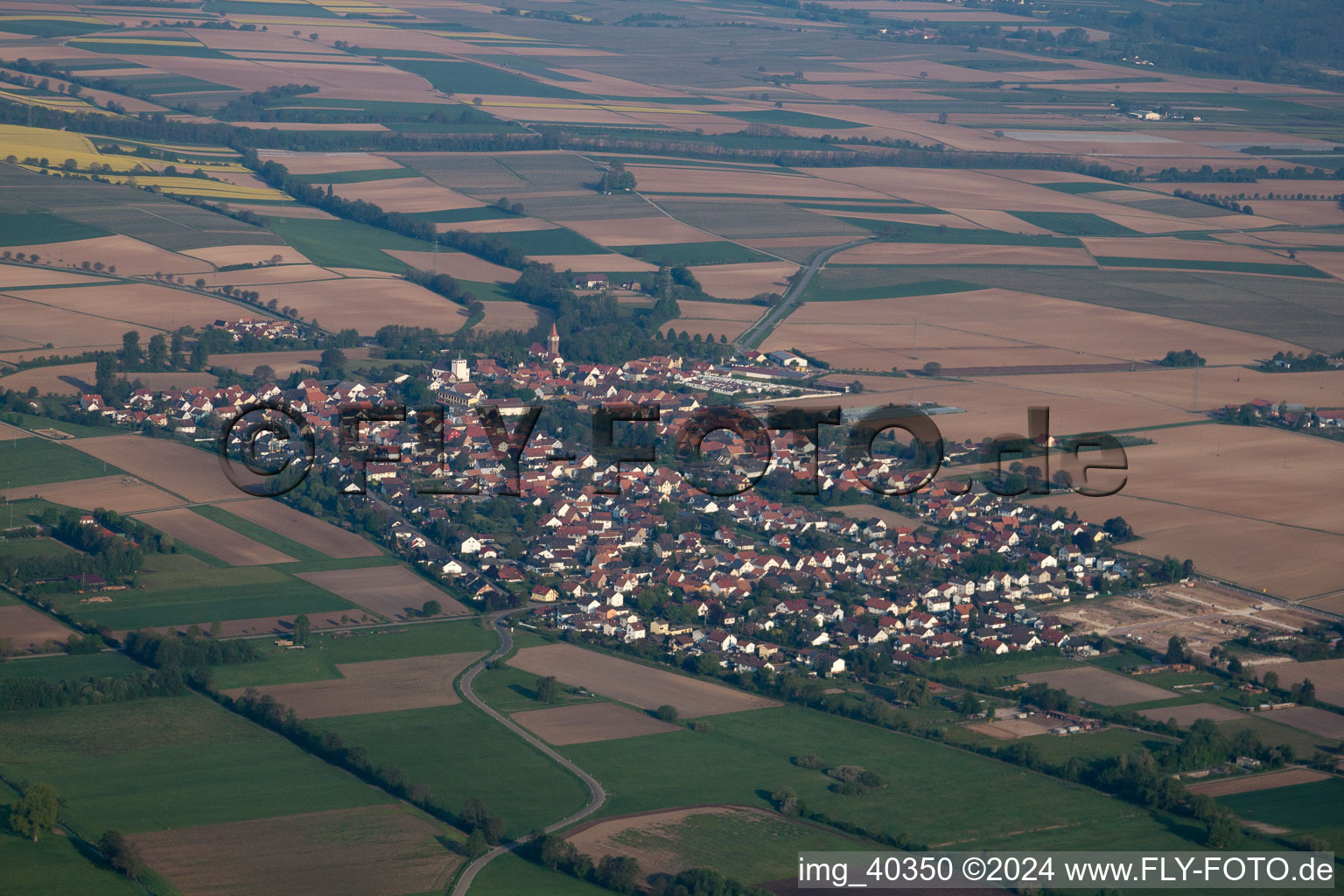 Vue d'oiseau de Minfeld dans le département Rhénanie-Palatinat, Allemagne