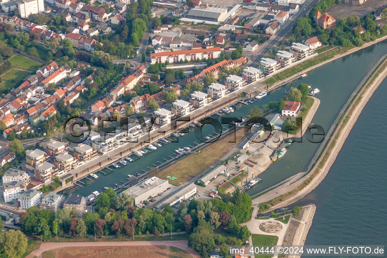 Photographie aérienne de Lotissement résidentiel sur les rives de l'ancien bassin portuaire de la Hafenstrasse du Rhin en face de Sea-Live à Speyer dans le département Rhénanie-Palatinat, Allemagne