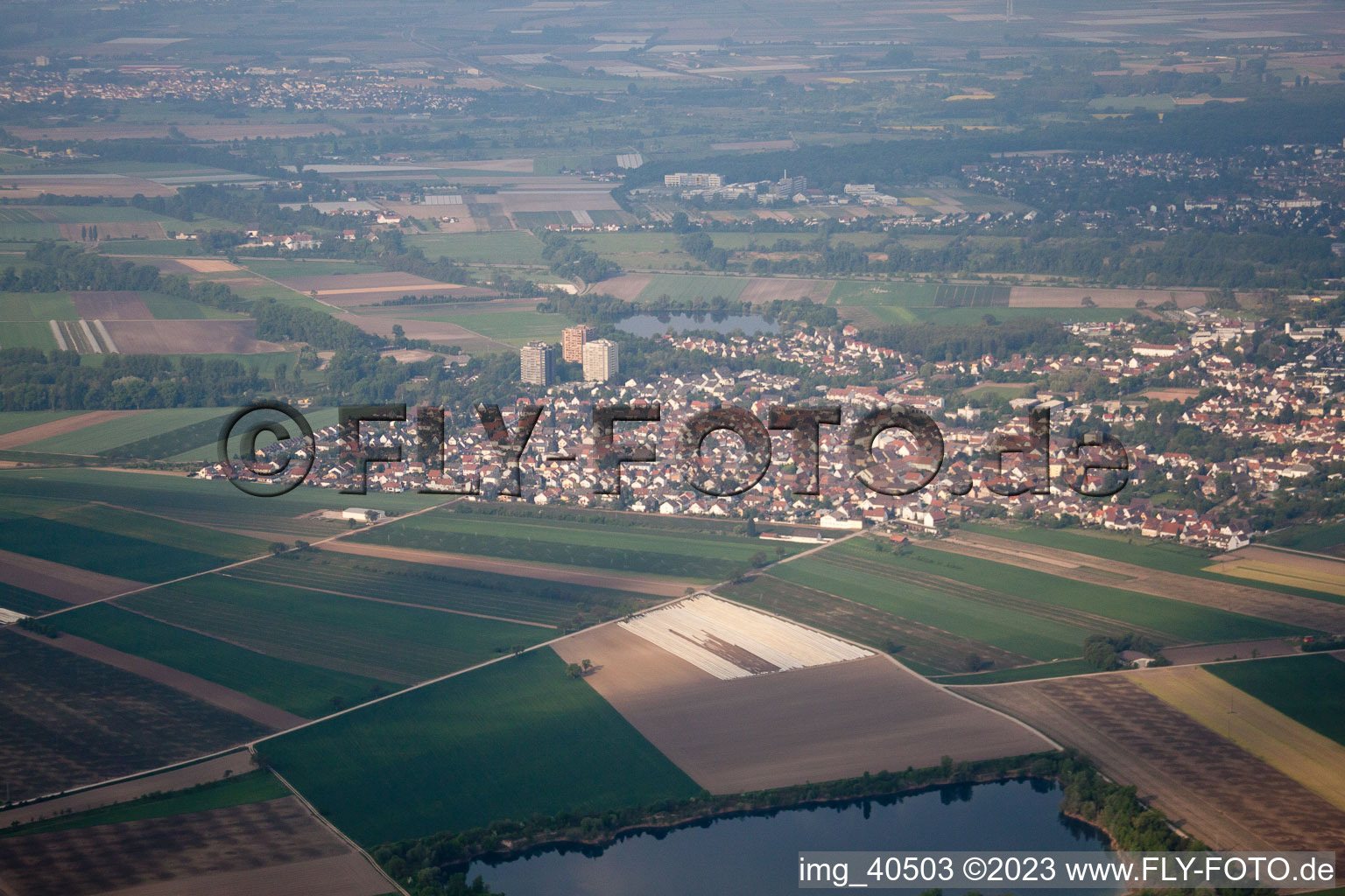 Altrip dans le département Rhénanie-Palatinat, Allemagne vu d'un drone