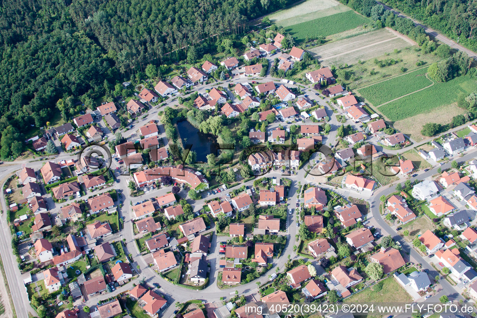 Rheinzabern dans le département Rhénanie-Palatinat, Allemagne d'un drone