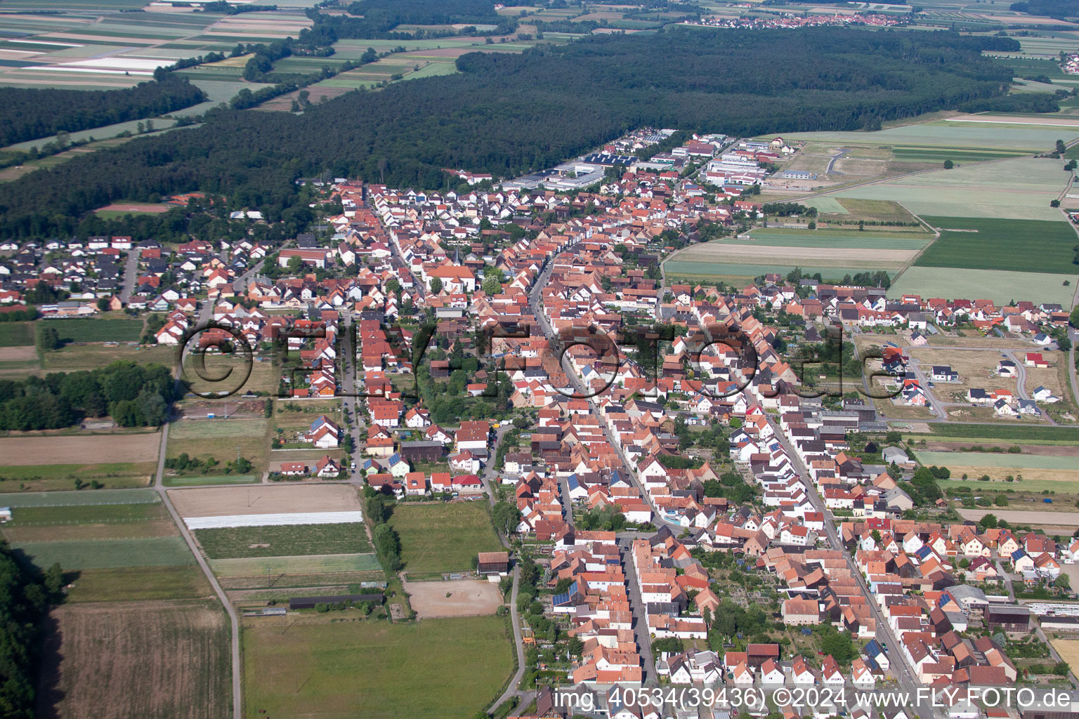 Hatzenbühl dans le département Rhénanie-Palatinat, Allemagne d'en haut