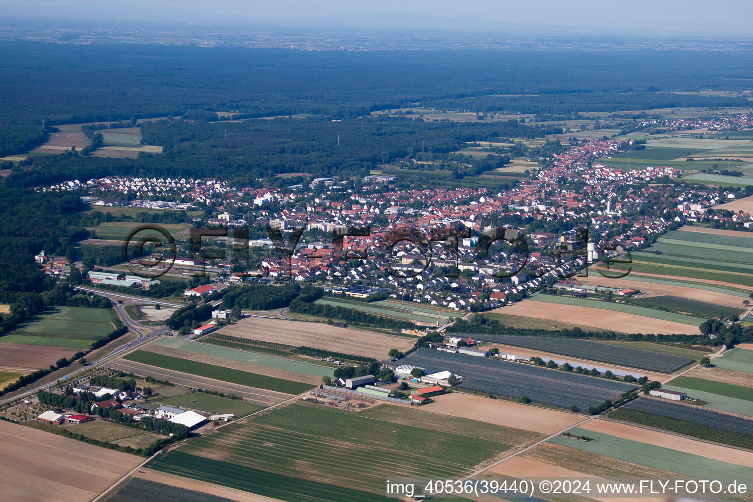 Hatzenbühl dans le département Rhénanie-Palatinat, Allemagne vue d'en haut