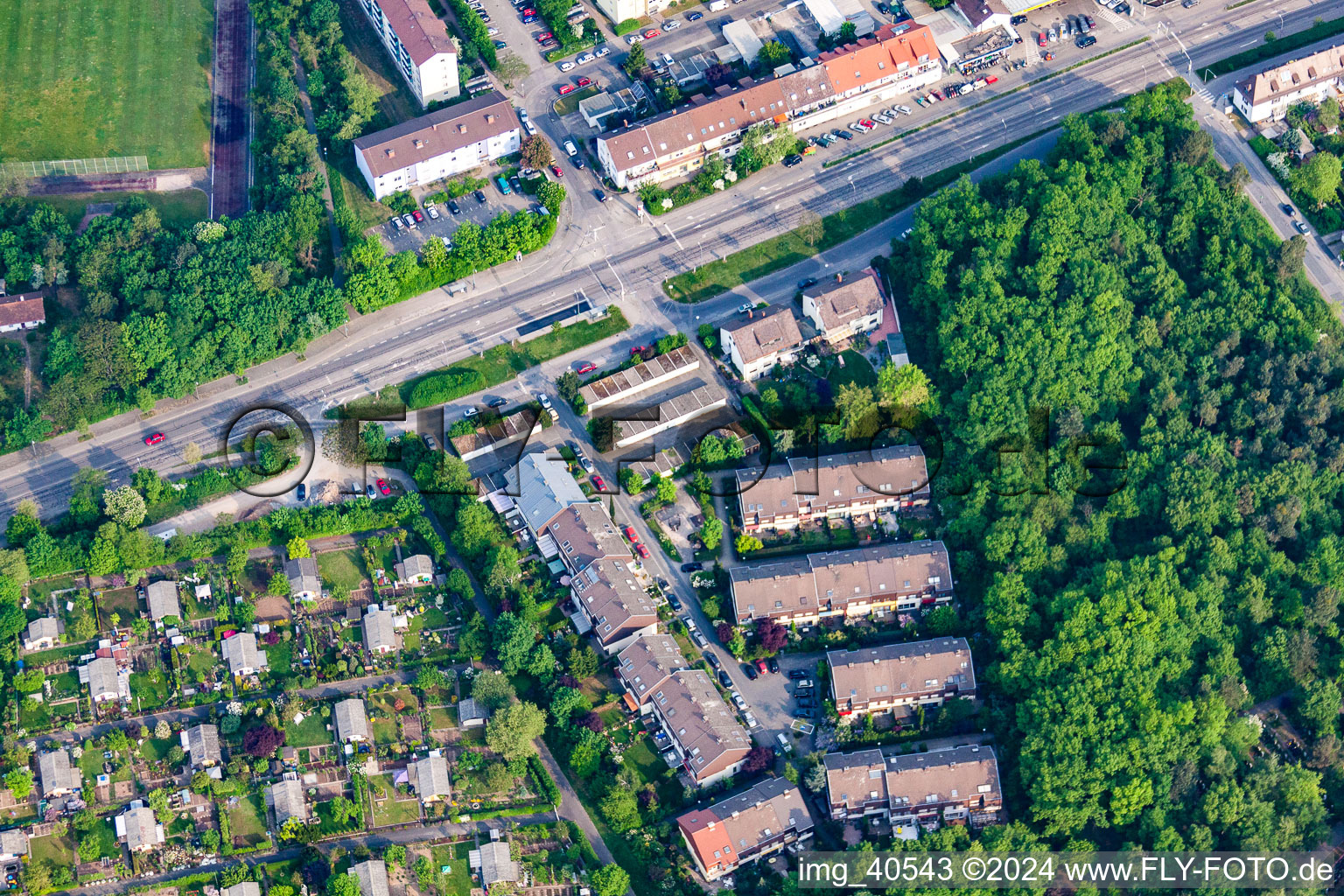 Vue aérienne de Dégagement forestier à le quartier Rheinau in Mannheim dans le département Bade-Wurtemberg, Allemagne