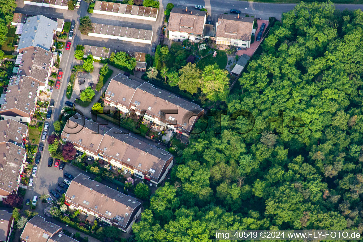 Vue aérienne de Déboisement à le quartier Rheinau in Mannheim dans le département Bade-Wurtemberg, Allemagne