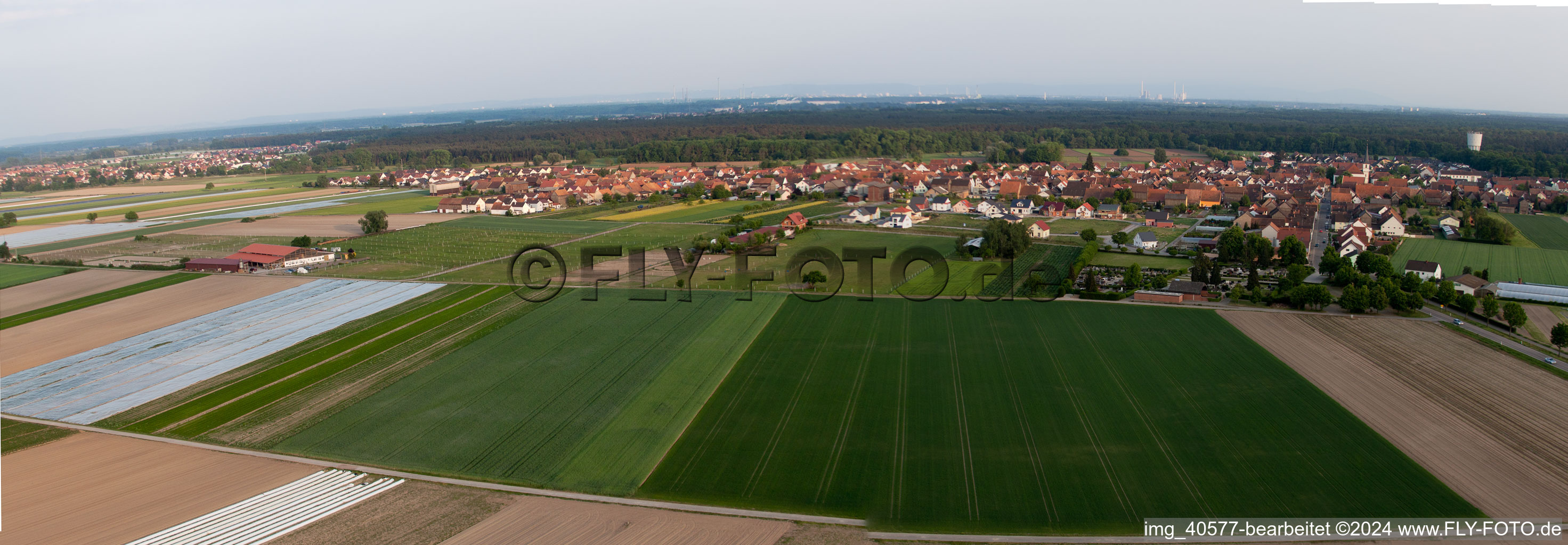 Hatzenbühl dans le département Rhénanie-Palatinat, Allemagne depuis l'avion