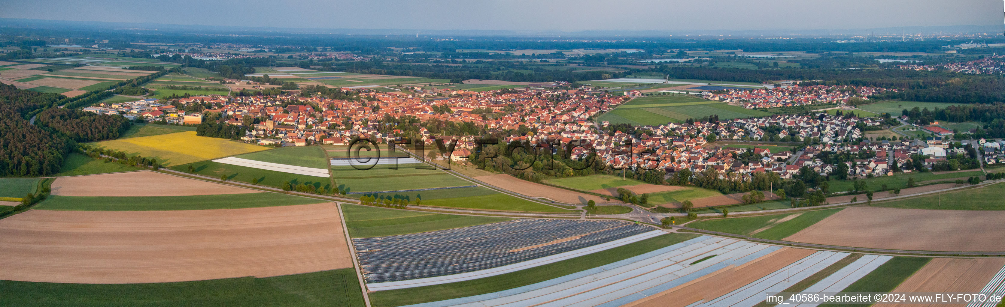 Vue aérienne de Perspective panoramique des champs agricoles et des terres agricoles à Rheinzabern dans le département Rhénanie-Palatinat, Allemagne