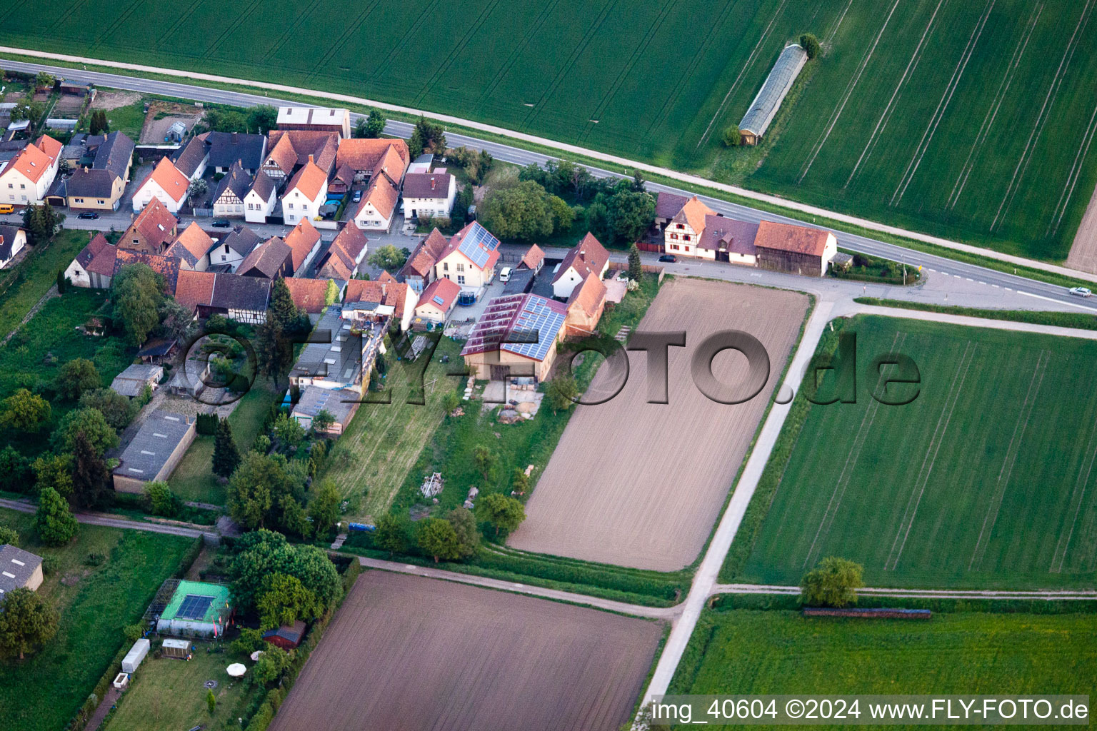 Vue aérienne de Brehmstr à le quartier Minderslachen in Kandel dans le département Rhénanie-Palatinat, Allemagne