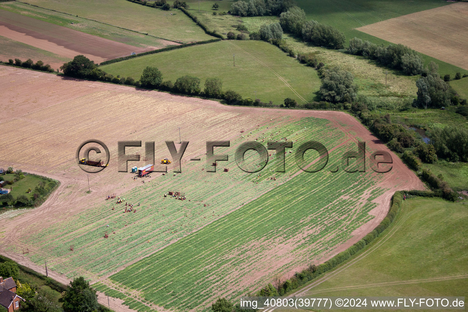 Vue aérienne de Récolte de légumes à Ripple à Ripple dans le département Angleterre, Grande Bretagne