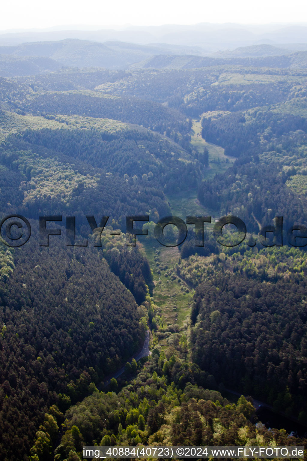 Vue aérienne de Vallée de Mühlbachtal à Eppenbrunn dans le département Rhénanie-Palatinat, Allemagne