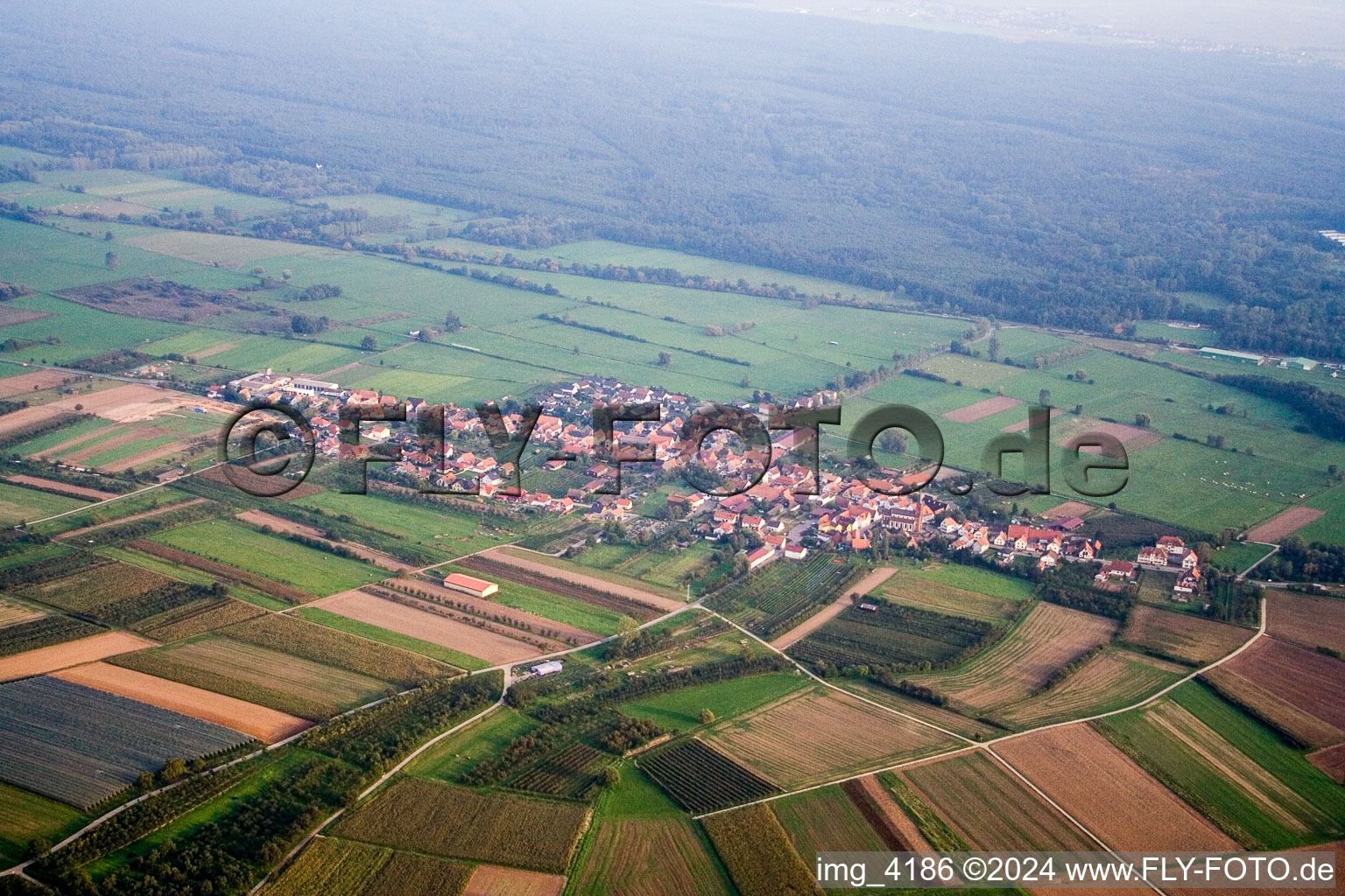 Vue aérienne de Schweighofen dans le département Rhénanie-Palatinat, Allemagne