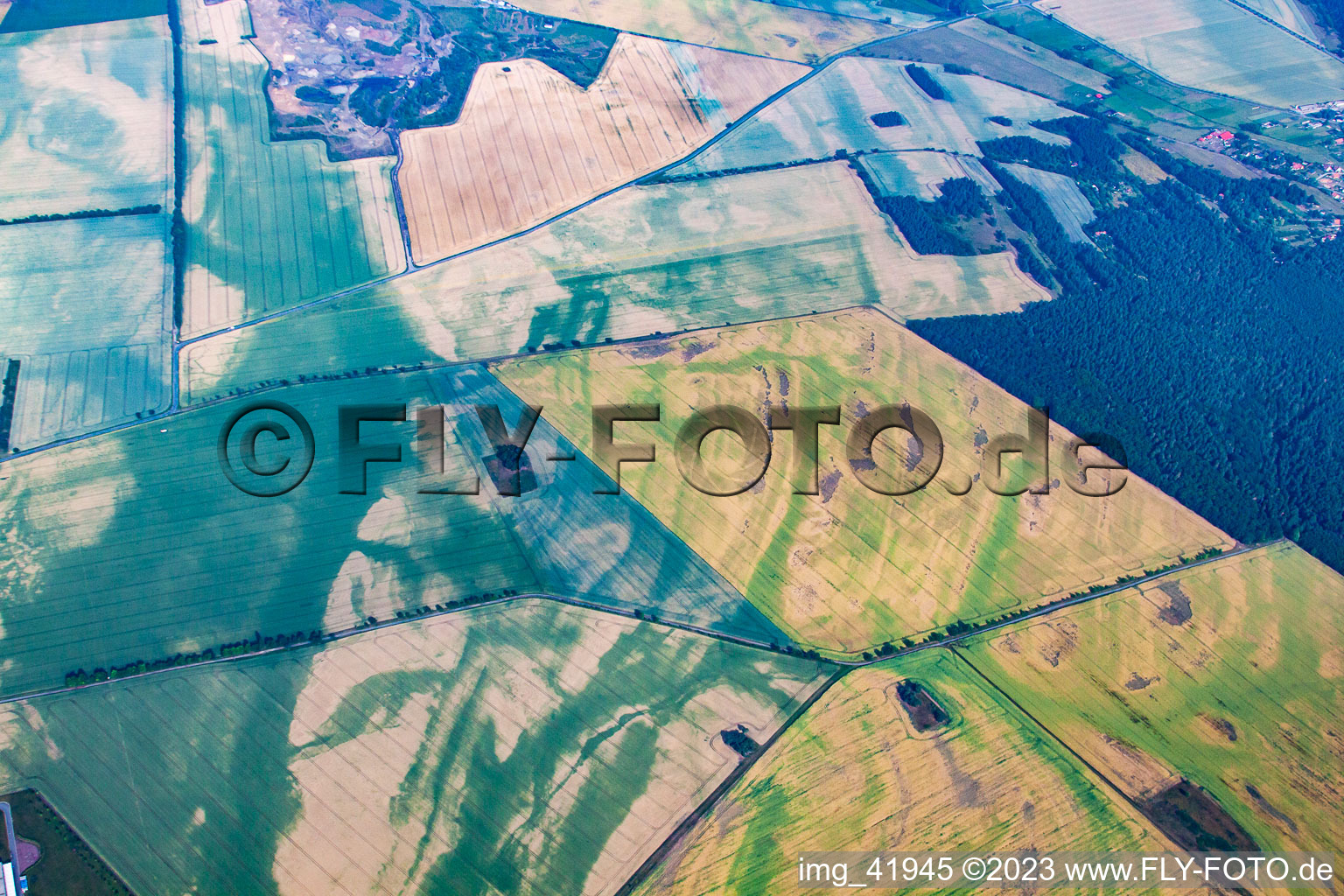 Vue aérienne de Mosaïque de champ endommagée par la sécheresse à le quartier Warnstedt in Thale dans le département Saxe-Anhalt, Allemagne