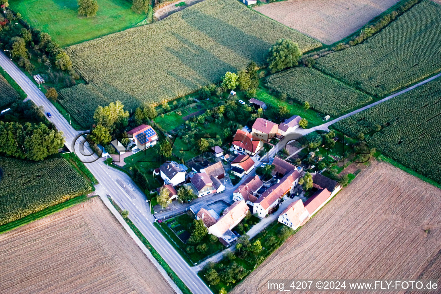 Photographie aérienne de Welschhof à Minfeld dans le département Rhénanie-Palatinat, Allemagne