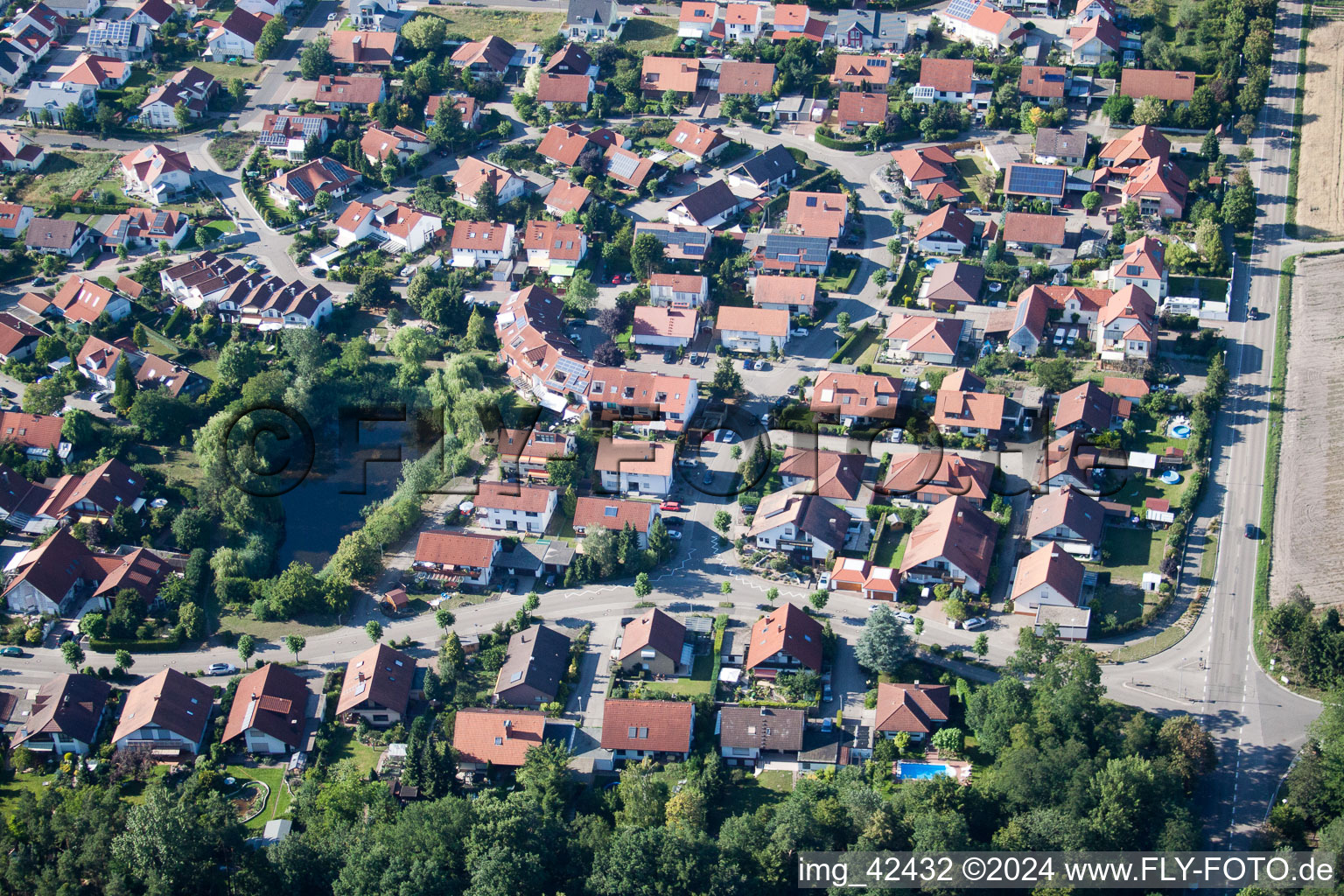 Vue aérienne de Nouvelle zone de développement à Rheinzabern dans le département Rhénanie-Palatinat, Allemagne