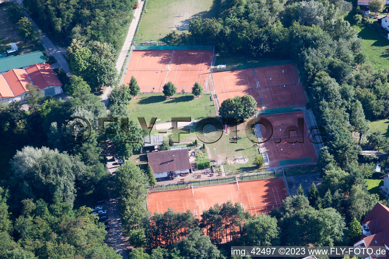 Vue aérienne de Tennis à Jockgrim dans le département Rhénanie-Palatinat, Allemagne