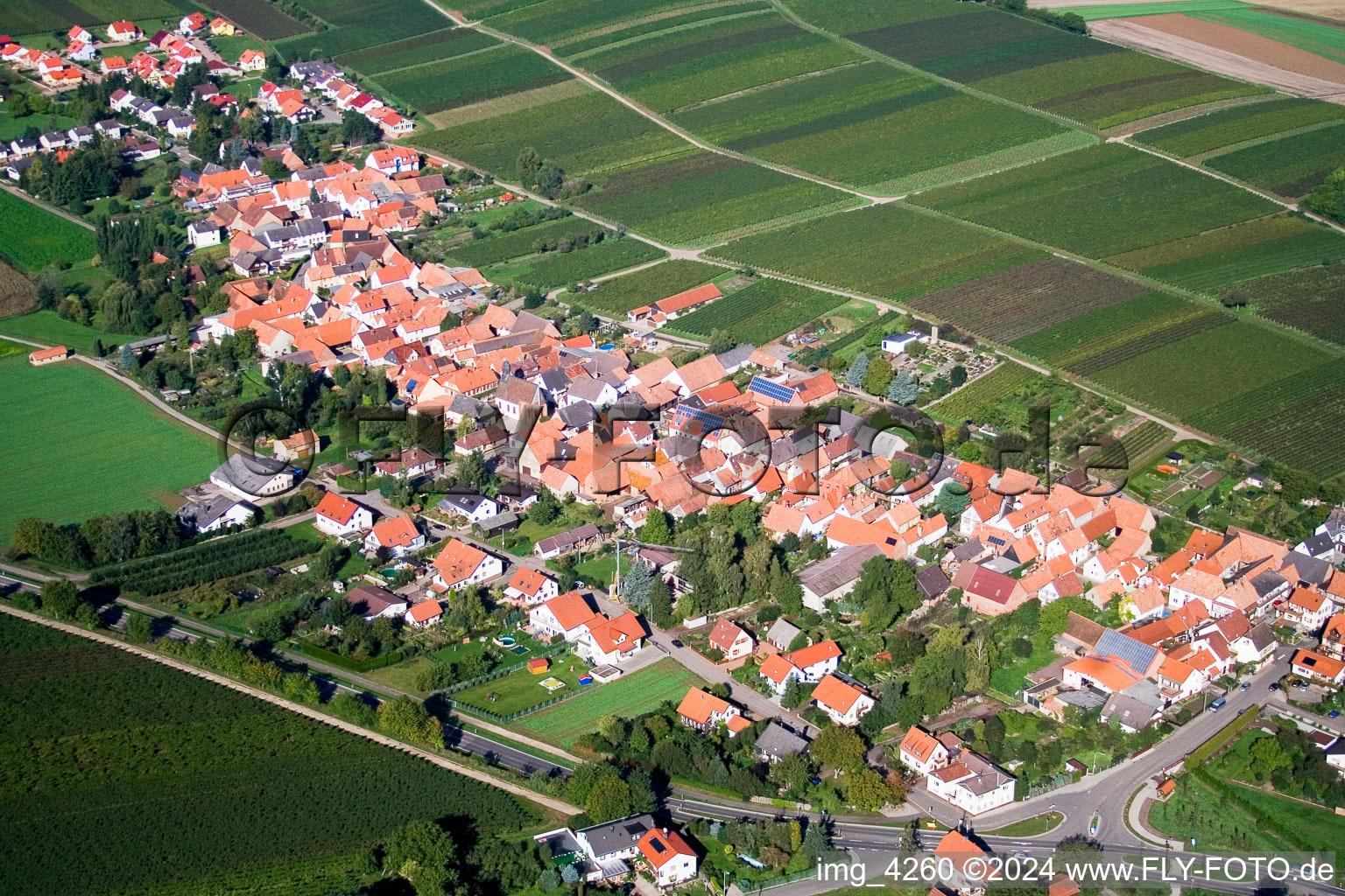Vue aérienne de Vignobles à Niederhorbach dans le département Rhénanie-Palatinat, Allemagne
