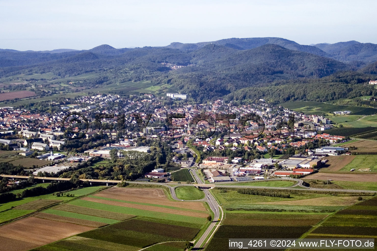 Vue aérienne de De l'est à Bad Bergzabern dans le département Rhénanie-Palatinat, Allemagne