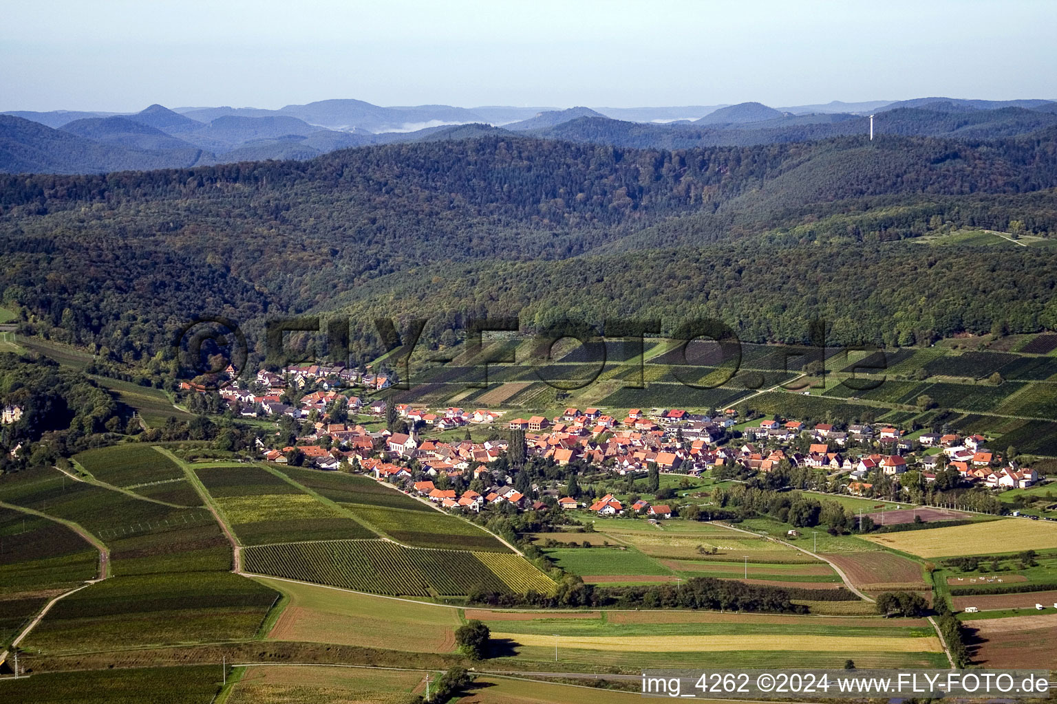 Vue aérienne de Vue sur le village à le quartier Pleisweiler in Pleisweiler-Oberhofen dans le département Rhénanie-Palatinat, Allemagne