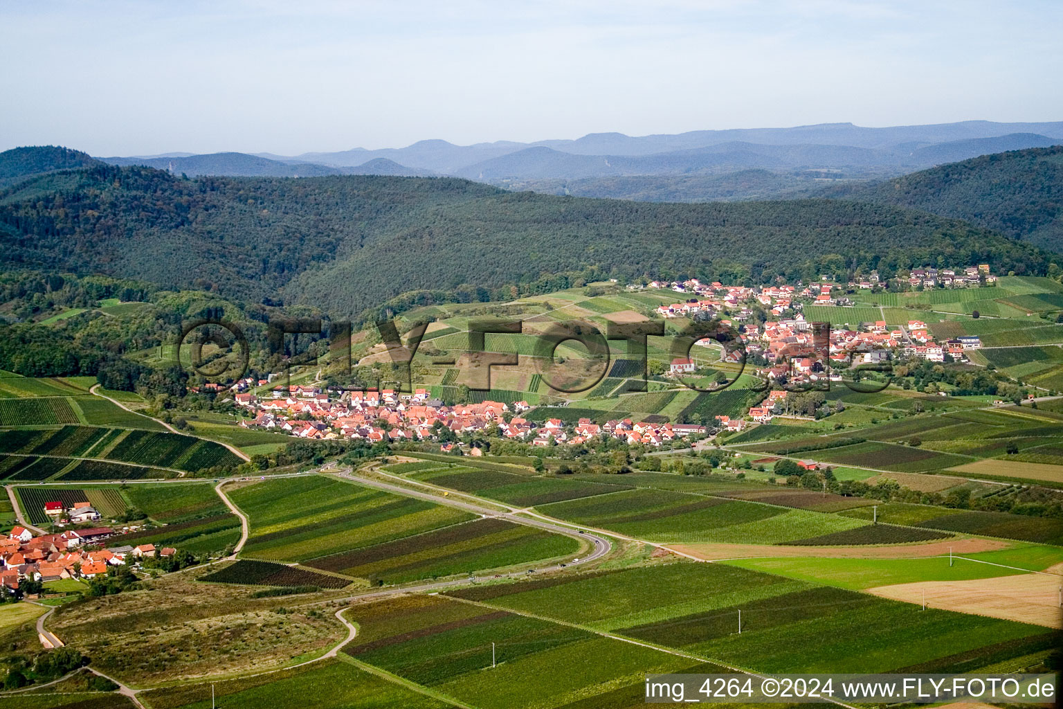 Photographie aérienne de Champs agricoles et surfaces utilisables à le quartier Gleiszellen in Gleiszellen-Gleishorbach dans le département Rhénanie-Palatinat, Allemagne