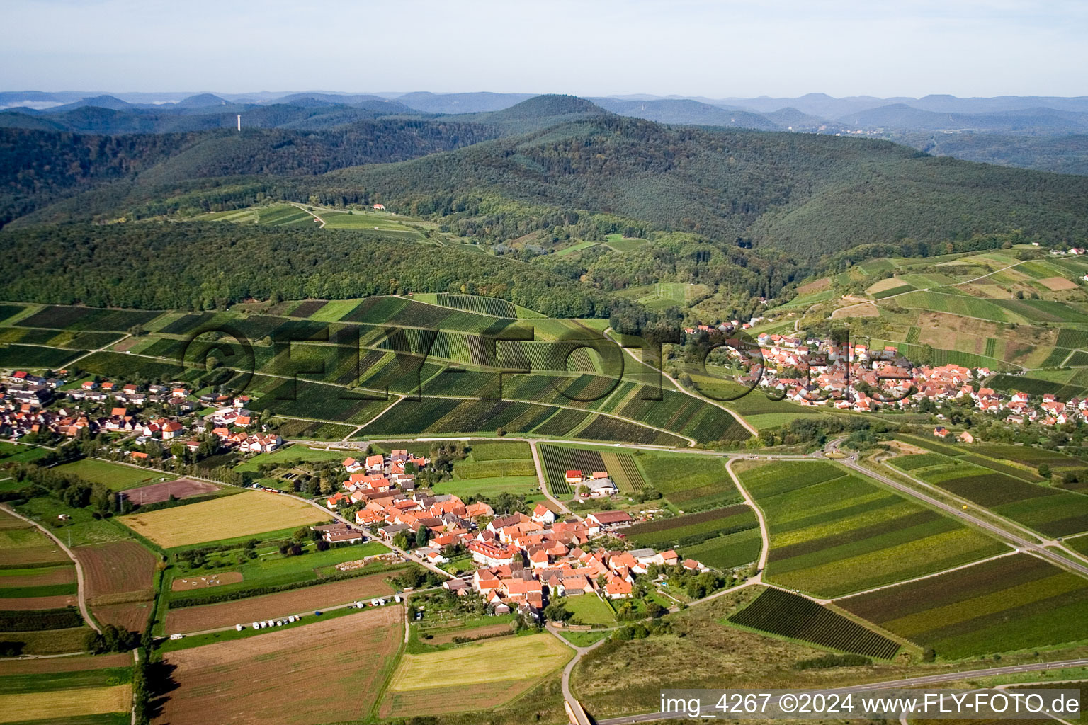 Image drone de Quartier Oberhofen in Pleisweiler-Oberhofen dans le département Rhénanie-Palatinat, Allemagne