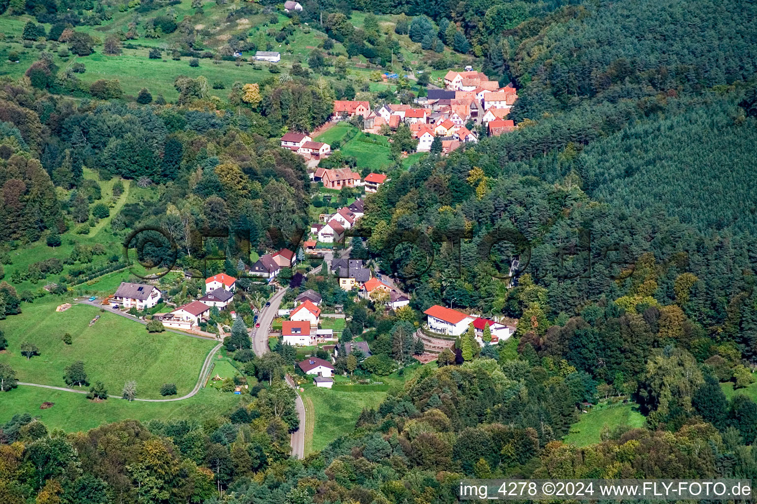 Vue aérienne de Dans la forêt du Palatinat à le quartier Blankenborn in Bad Bergzabern dans le département Rhénanie-Palatinat, Allemagne