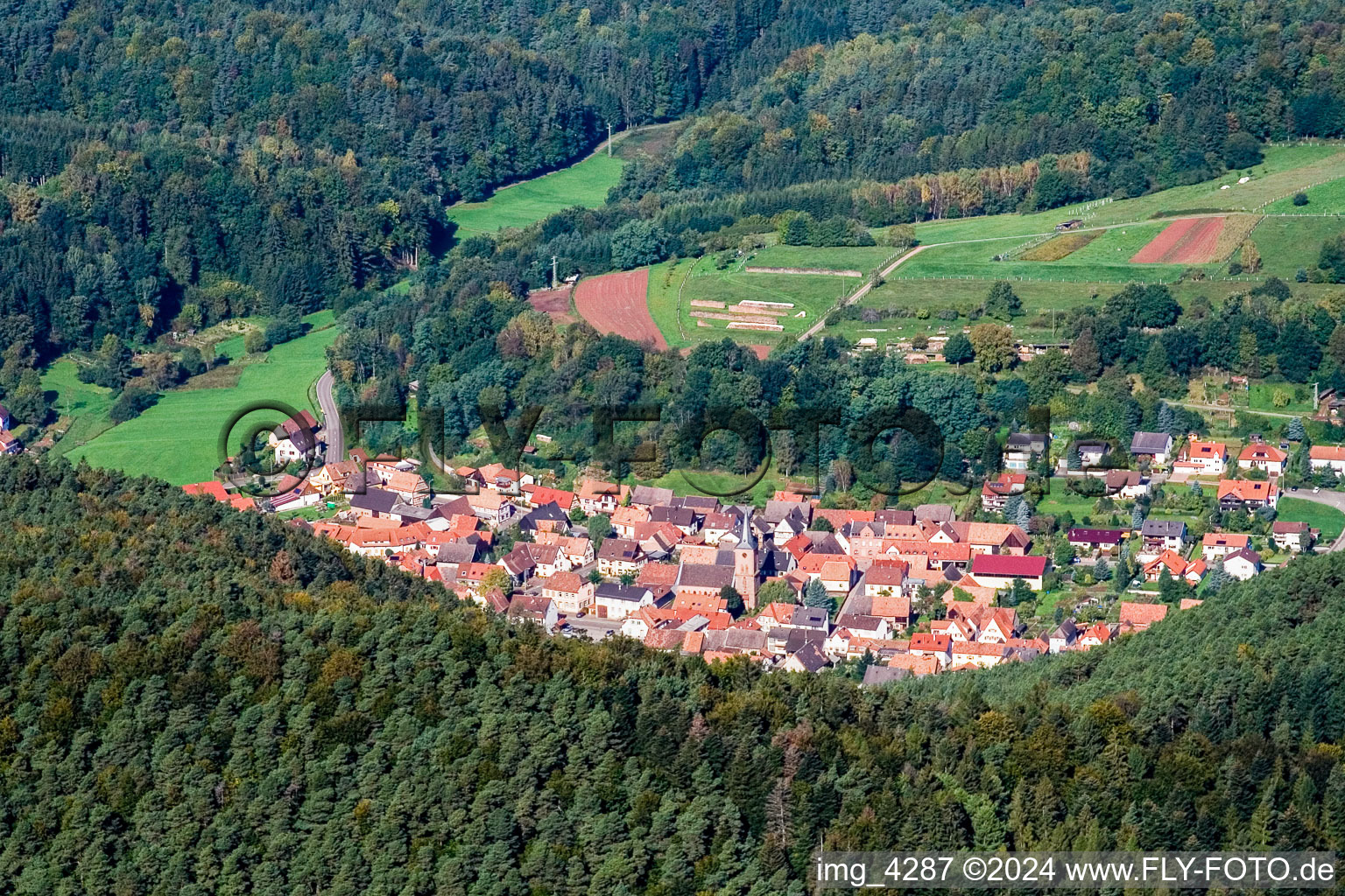 Vorderweidenthal dans le département Rhénanie-Palatinat, Allemagne vue du ciel