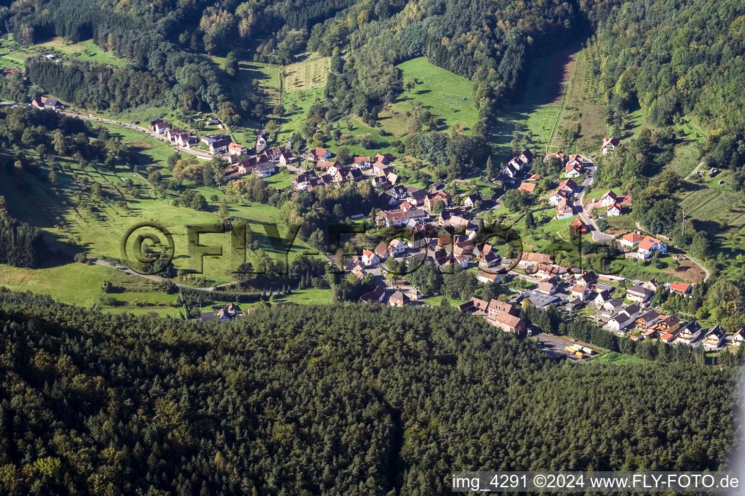 Quartier Lauterschwan in Erlenbach bei Dahn dans le département Rhénanie-Palatinat, Allemagne vue du ciel