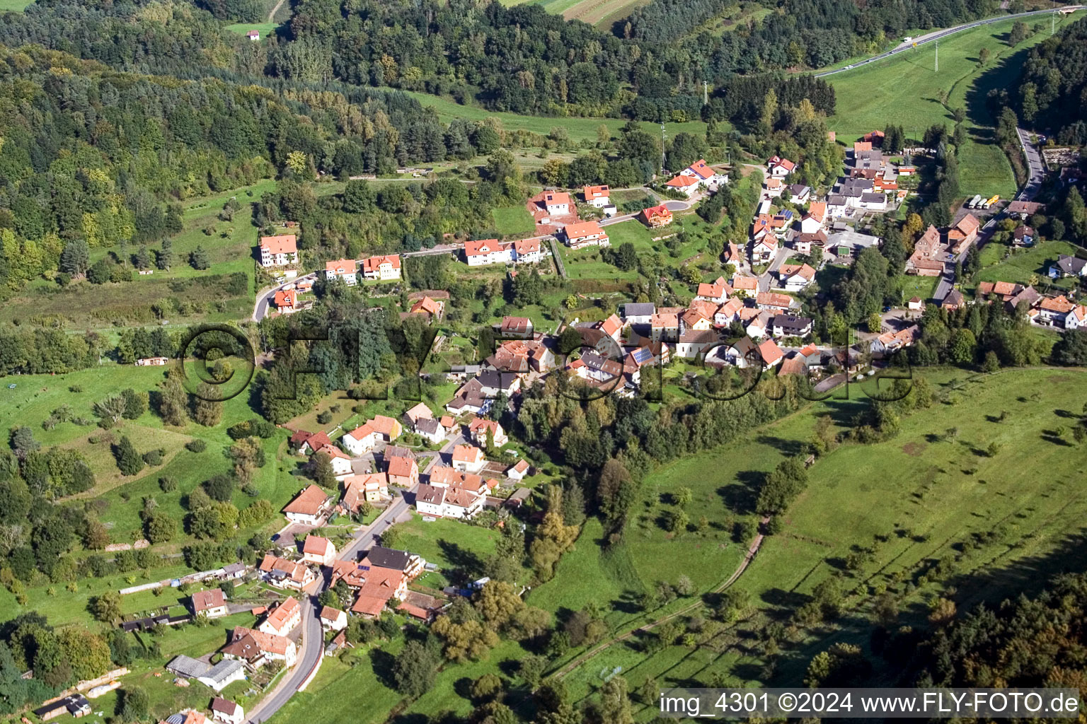 Vue aérienne de Champs agricoles et surfaces utilisables à Erlenbach bei Dahn dans le département Rhénanie-Palatinat, Allemagne