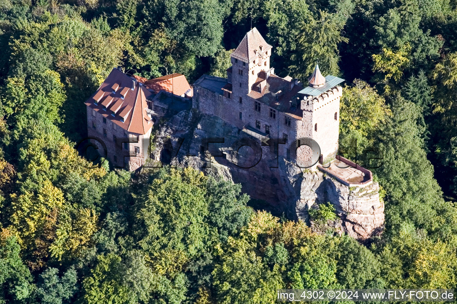 Vue aérienne de Complexe du château de Berwartstein à Erlenbach bei Dahn dans le département Rhénanie-Palatinat, Allemagne
