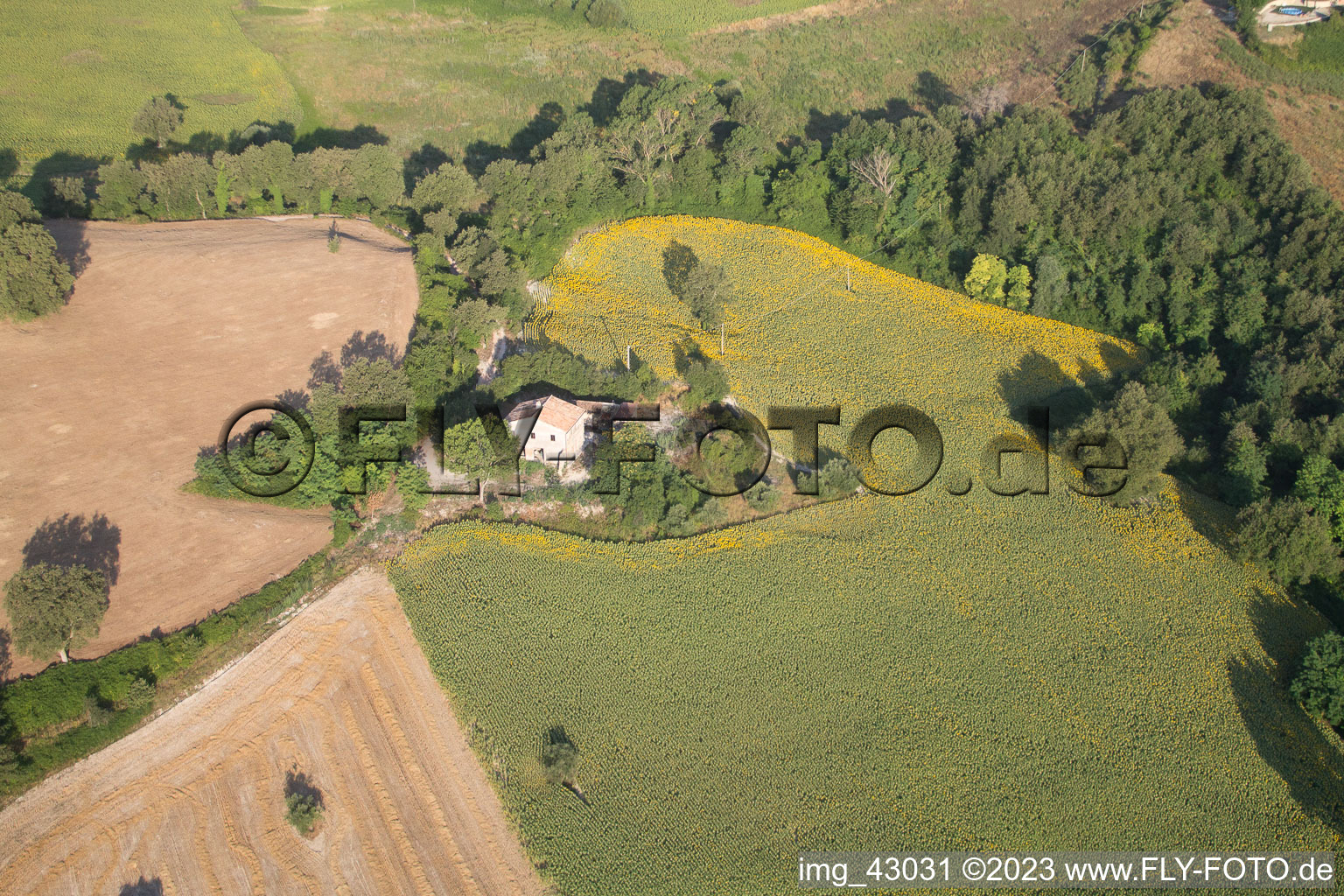 Vue aérienne de Fratte Rosa dans le département Les Marches, Italie
