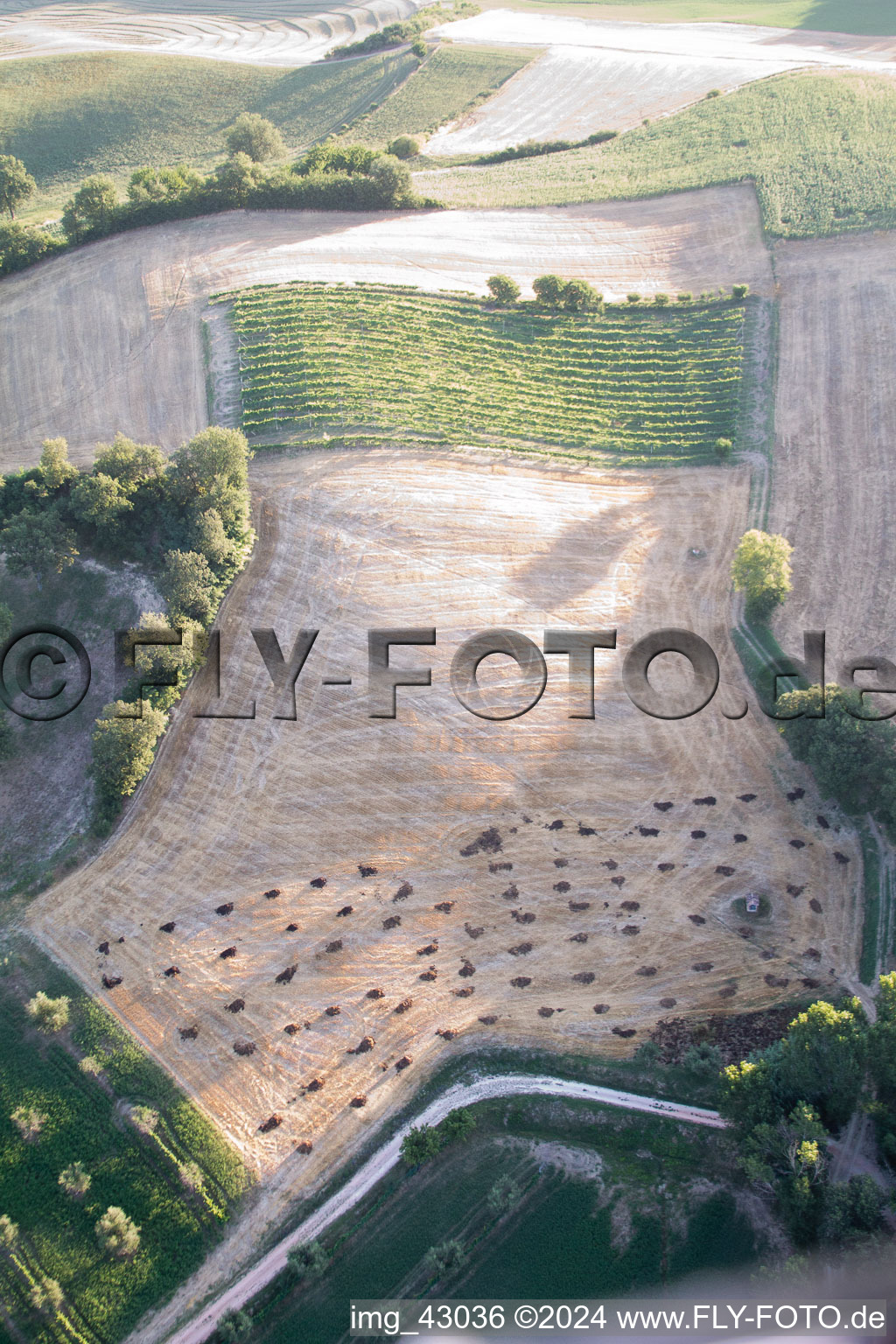 Isola di Fano dans le département Les Marches, Italie du point de vue du drone