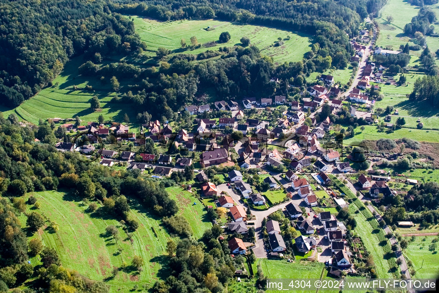 Photographie aérienne de Champs agricoles et surfaces utilisables à Niederschlettenbach dans le département Rhénanie-Palatinat, Allemagne