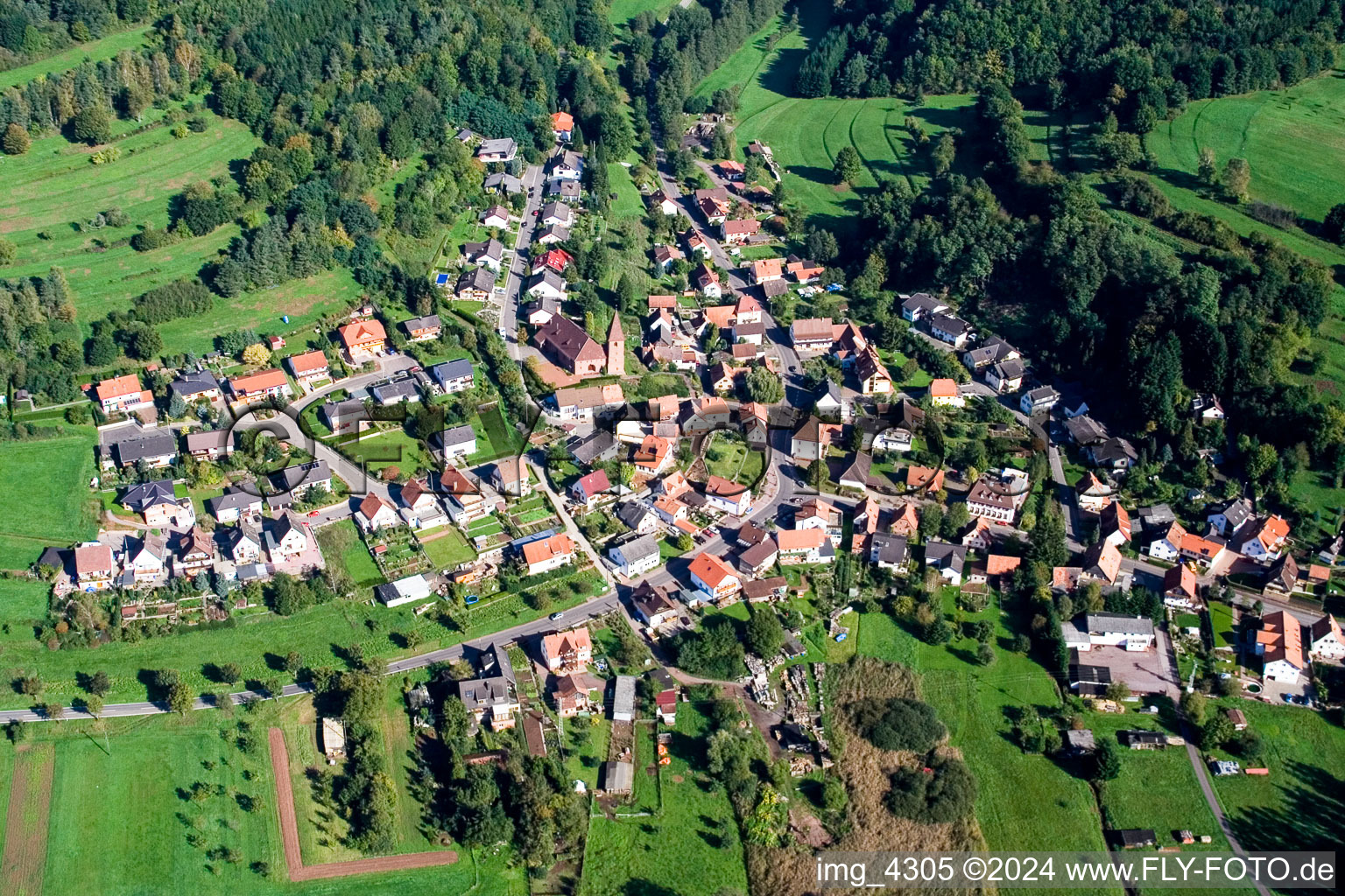 Niederschlettenbach dans le département Rhénanie-Palatinat, Allemagne vue d'en haut