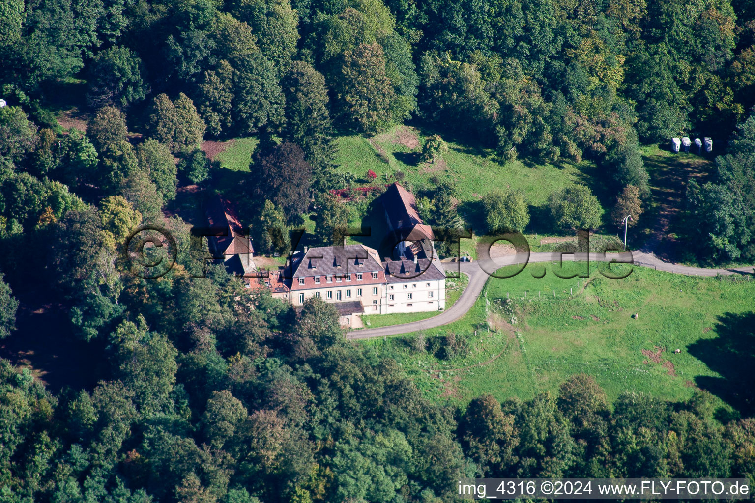 Vue aérienne de (près de Wissembourg), Château Langenberg à Weiler dans le département Bas Rhin, France