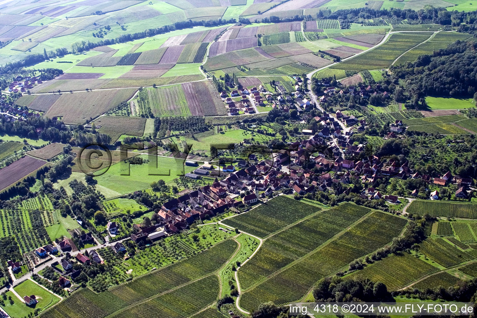 Vue aérienne de Près de Wissembourg à Rott dans le département Bas Rhin, France