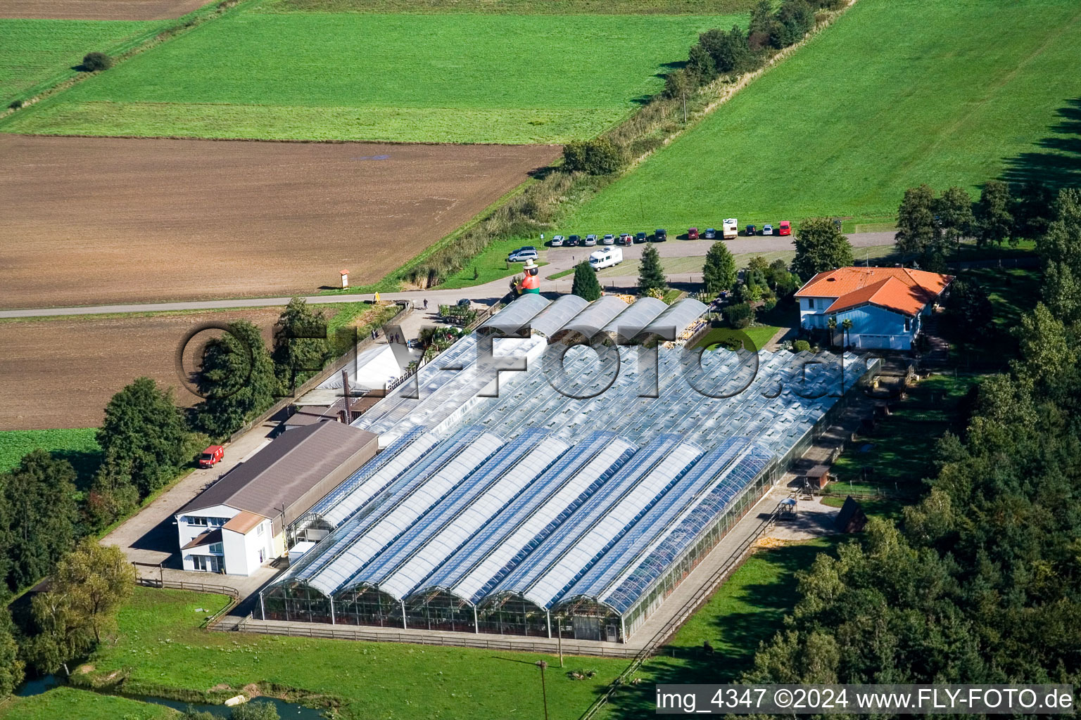 Vue aérienne de Terre de cactus à Steinfeld dans le département Rhénanie-Palatinat, Allemagne