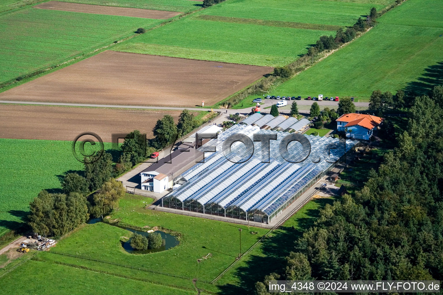 Photographie aérienne de Terre de cactus à Steinfeld dans le département Rhénanie-Palatinat, Allemagne