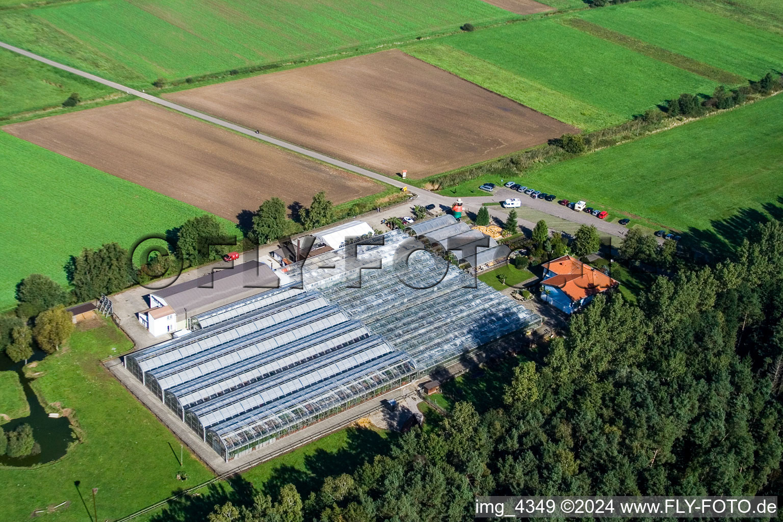 Vue oblique de Terre de cactus à Steinfeld dans le département Rhénanie-Palatinat, Allemagne