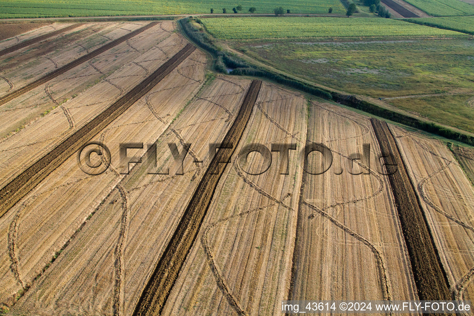 Vue aérienne de Structures de champs de maïs récoltés Paysage sur un champ de céréales à Anatraia à Castiglion Fiorentino dans le département Arezzo, Italie