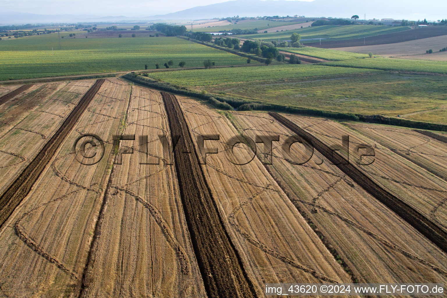 Vue aérienne de Structures de champs de maïs récoltés Paysage sur un champ de céréales à Anatraia à Castiglion Fiorentino dans le département Arezzo, Italie